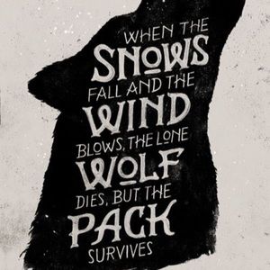 Meet your Posher, Yonas